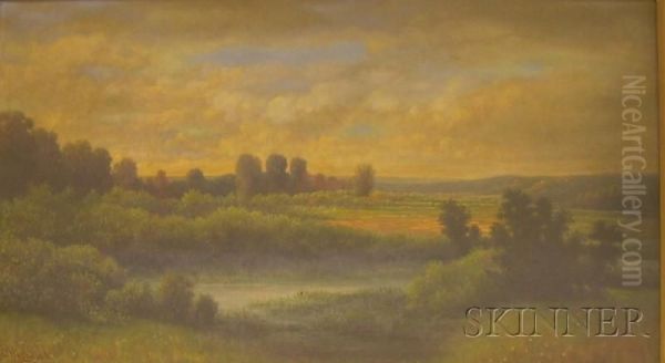 Water Meadow At Sunset. - view 1