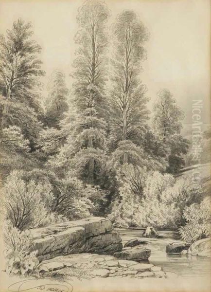 A Landscape With A Creek - view 1