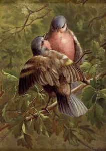 Vogelpaar