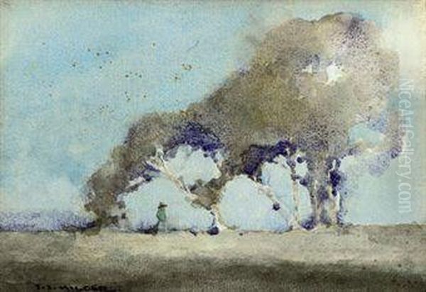 A Summer's Day - view 1