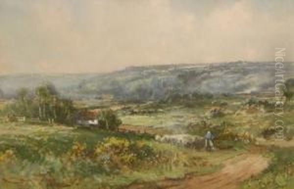 Shepherd With Sheep In Hilly Landscape - view 1