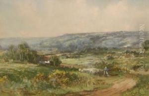 Shepherd With Sheep In Hilly Landscape