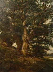 Oak In Bradgate Park by Arthur Hill