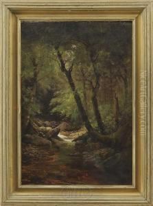Newhampshire Woods by Edward Hill