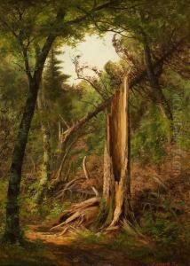 Woodland Interior by Edward Hill