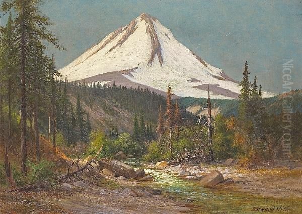 Sunlit Stream And A Snow-covered Mountain - view 1