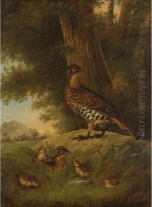 A Family Of Grouse In A Landscape