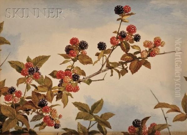 Still Life Of Blackberry Branches by John William Hill