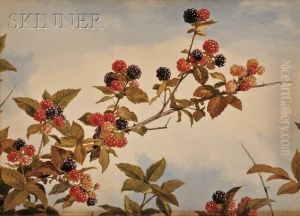 Still Life Of Blackberry Branches by John William Hill