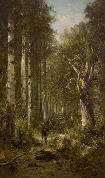 Deer Walking On Wooded Path - view 1