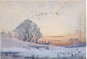 A November Dawn A November Dawn