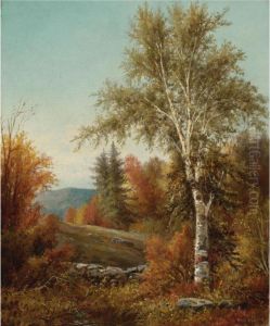 A Birch Tree By A Stone Wall by William Henry Hilliard