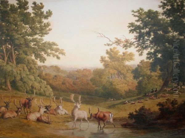 Deer In A Park - view 1