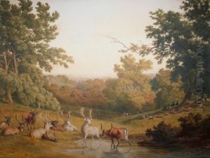 Deer In A Park