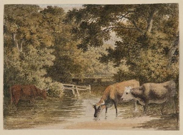 Cattle Watering - view 1