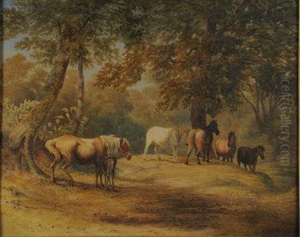 New Forest Ponies - view 1