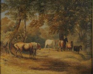 New Forest Ponies