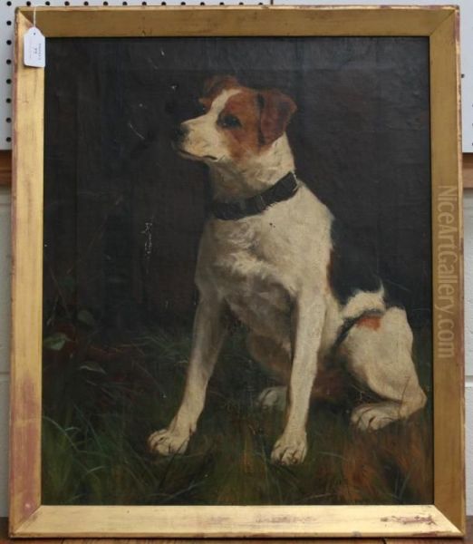 Study Of A Seated Terrier - view 1