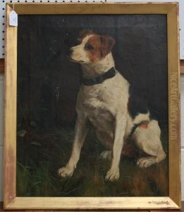 Study Of A Seated Terrier