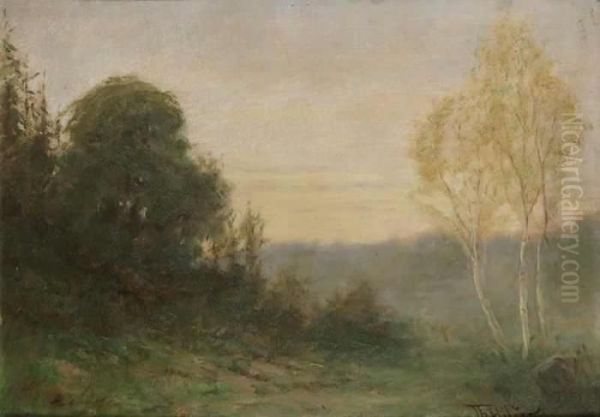 A Landscape - view 1
