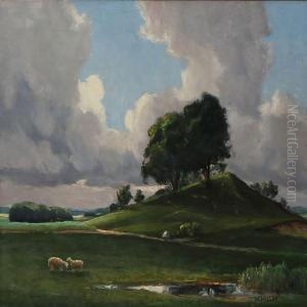 Arnakke Bakke Ved Areso - view 1