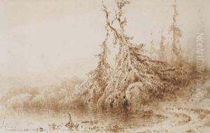 Sparren Aan Het Water by Johannes Hilverdink