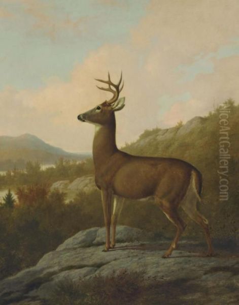 Deer In Landscape - view 1