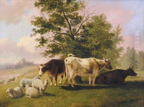 Cows And Sheep Resting - view 1