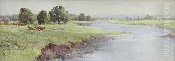 Cattle And Sheep Grazing In A River Landscape - view 1