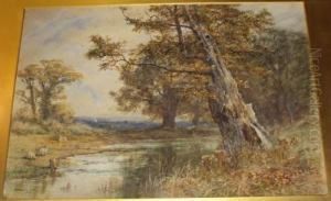 'an Old Oak In The New Forest' by Fred Hines