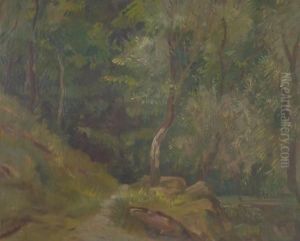 Il Bosco Di Zoagli Il Bosco Di Zoagli