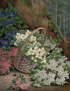 Flowers by John Henry Hintermeister