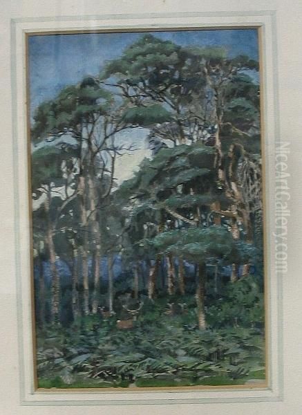 Scotch Firs - view 1