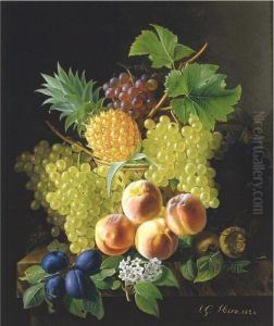 Still Life With Grapes And Peaches by Jean Georges Hirn