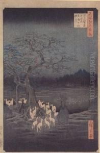 Foxfires On New Year's Eve At The Shozoku Hackberry Tree