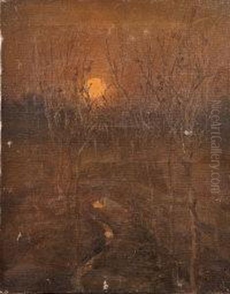 Wooded Landscape By Sunset - view 1