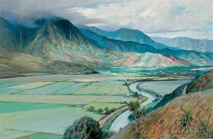 Hanalei Valley Kauai by David Howard Hitchcock