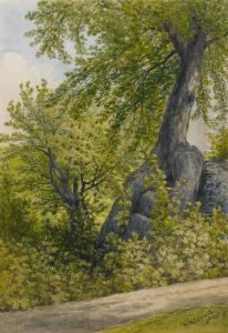 Sugar Hill, New Hampshire by Henry Hitchings
