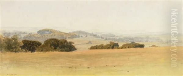 Cowdray Park - view 1