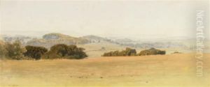Cowdray Park