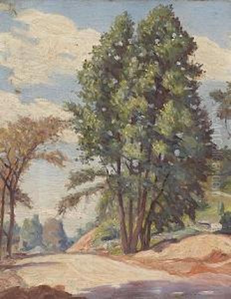 Trees Along The Roadside - view 1