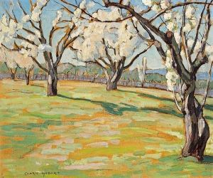 Old Cherry Trees
