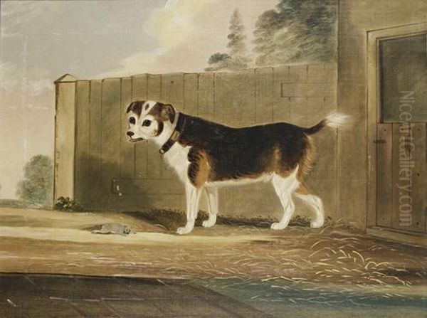 Jack Russell With Rat - view 1