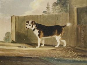 Jack Russell With Rat