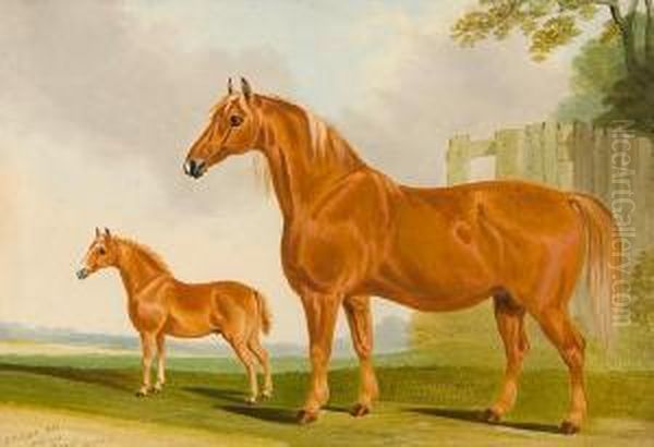 Suffolk Mare And Foal - view 1