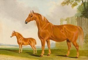 Suffolk Mare And Foal by John R. Hobart