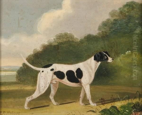 Black And White Hound - view 1