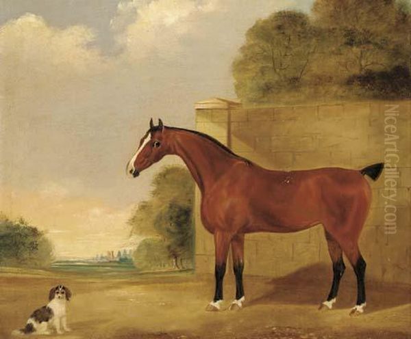 A Brown Racehorse With A Spaniel - view 1