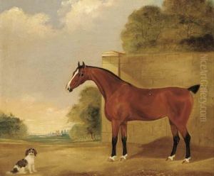 A Brown Racehorse With A Spaniel A Brown Racehorse With A Spaniel