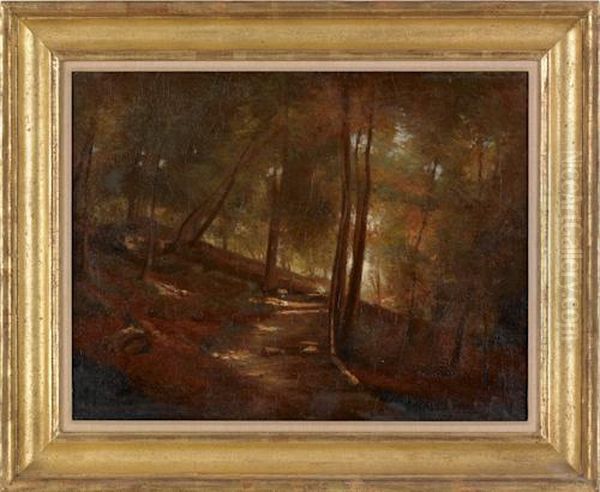 Landscape - view 1